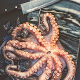 Sannakji oder ein lebendiger Krake     Dass man beim Essen aufpassen muss, nicht zu sterben, ist an sich schon skurril. Dass man das Tier bei lebendigem Leib verspeist, ist aber völlig verrückt. Denn beim koreanischen Gericht Sannakji ist dies genau der Fall - der Krake (ja, das Tier heißt wirklich so) wird lebendig gegessen. Was daran lebensgefährlich ist? Der Krake versprüht nicht irgendein Gift oder tödliches Sekret, wie man es vermuten könnte, nein, die Arme des Tieres sind natürlich immer noch aktiv, wenn das Gericht im Mund landet. Deshalb muss man während des Kauens und Schluckens höllisch aufpassen, nicht zu ersticken. Wohl bekomms!