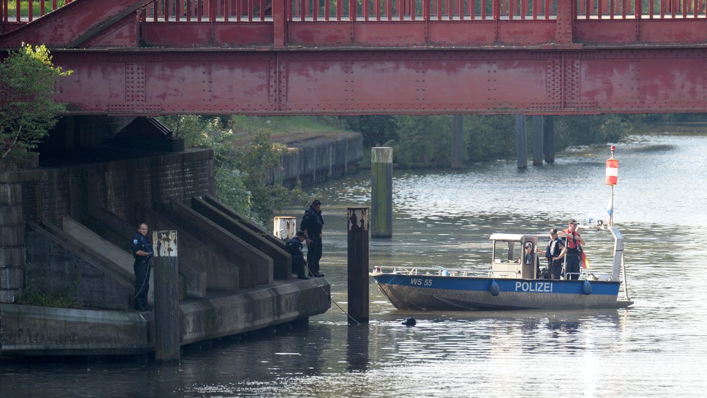 Am Vormittag hatte die Polizei nach Leichenteilen gesucht, jetzt fand ein Spaziergänger in Hamburg einen abgetrennten Kopf