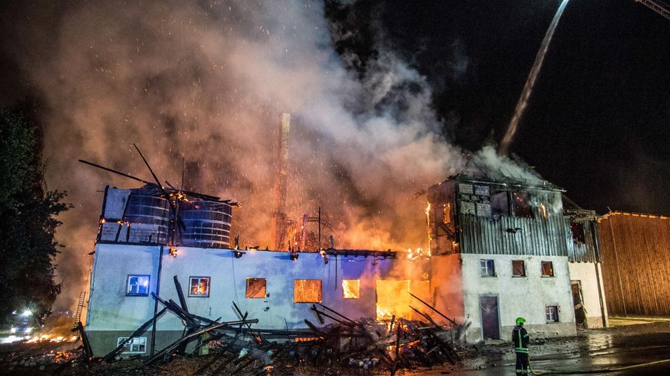 Nachrichten Deutschland - Großbrand auf Gestüt