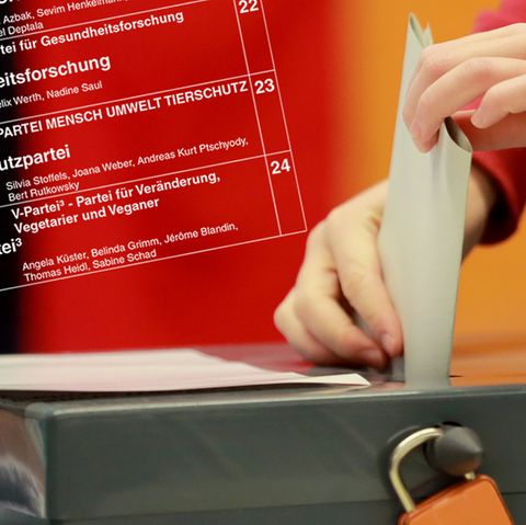 Insgesamt 42 Parteien hoffen bei der Bundestagswahl am 24. September auf das Kreuz der Wähler