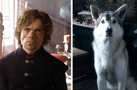 Peter Dinklage macht auf das Schicksal von Huskies aufmerksam