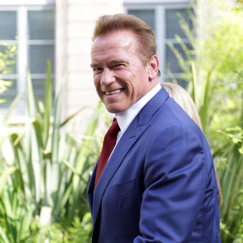Arnold Schwarzenegger terminiert (schon wieder) Donald Trumps Regierungsstil