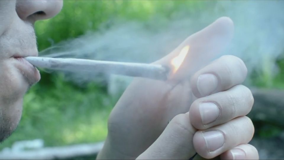 Befürworter reden über Konsum: "Verbot senkt die Probleme nicht": Das sind Gründe für eine Legalisierung von Cannabis Befürworter reden über Konsum: "Verbot senkt die Probleme nicht": Das sind Gründe für eine Legalisierung von Cannabis