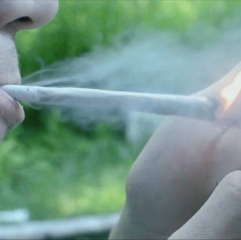 Befürworter reden über Konsum: "Verbot senkt die Probleme nicht": Das sind Gründe für eine Legalisierung von Cannabis