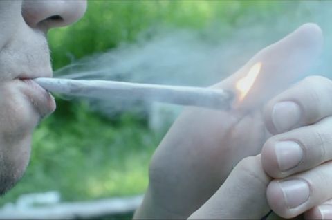 Befürworter reden über Konsum: "Verbot senkt die Probleme nicht": Das sind Gründe für eine Legalisierung von Cannabis