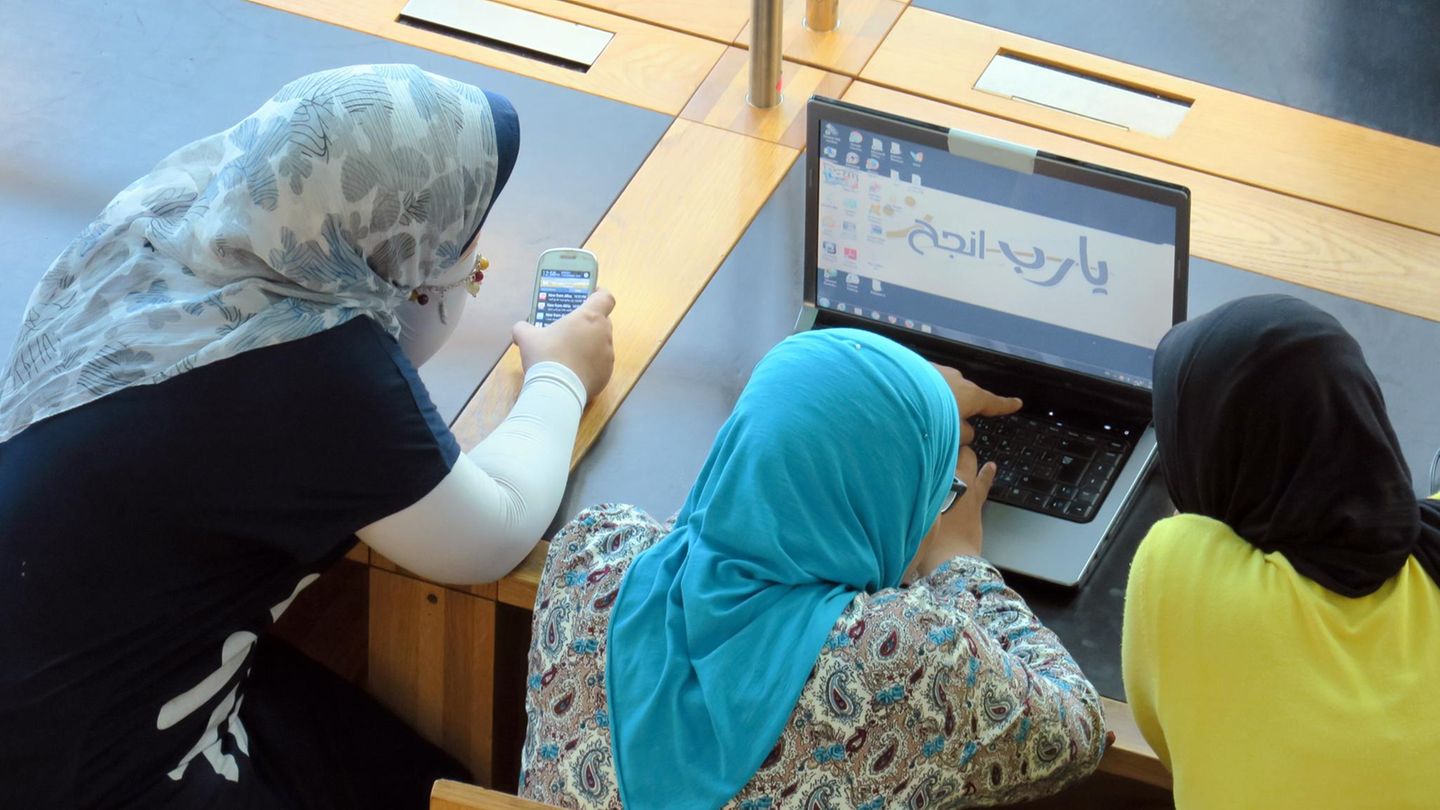 Ägypten Frauen am Computer