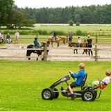 Landhaus Averbeck, Lüneburger Heide  Ein Schwimmbad, Pferde, Hühner, Hasen, Enten, Katzen, gesundes Essen, Kettcars, mit denen man über das Gelände düsen kann - alles bestens. Noch besser ist, dass es keine Animation, keinen gigantischen Wellnessbereich, keine Kinderdisco gibt. Dafür jede Menge Platz und herzliche Gastgeber. Die Zimmer und Ferienwohnungen sind im gehobenen Landhausstil eingerichtet, auch die "Appartements im Schweinehaus" sehen nicht saumäßig aus, es handelt sich um den luxuriös umgebauten früheren Schweinestall. Bei schlechtem Wetter toben die Kinder in der Spielscheune "Landlümmels".   Infos: Bergen, Hassel 3, Tel. 05054-249, www.landhausaverbeck.de, DZ/VP ab 246 €
