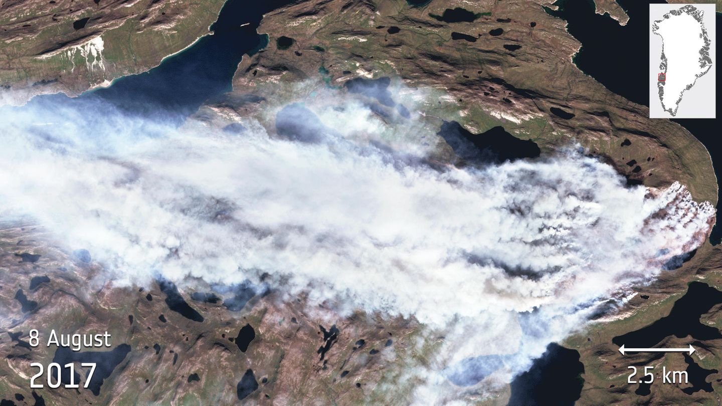 Die Satellitenaufnahme zeigt das Ausmaß des Flächenbrandes auf Grönland am 8. August 2017