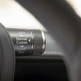 Diese Rundhebel ragen links und rechts aus der Hutze des Zentralinstruments heraus, wie Teufelshörner