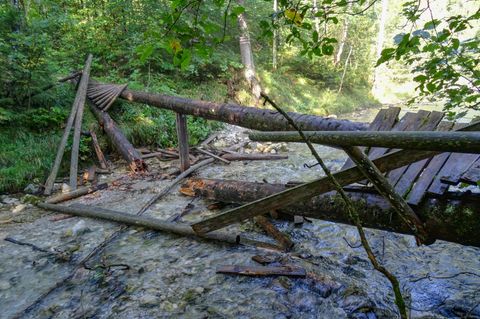 Beim Zusammenbruch einer Fußgängerbrücke über einem Bach in Oberbayern sind elf Kinder und Jugendliche leicht verletzt worden.