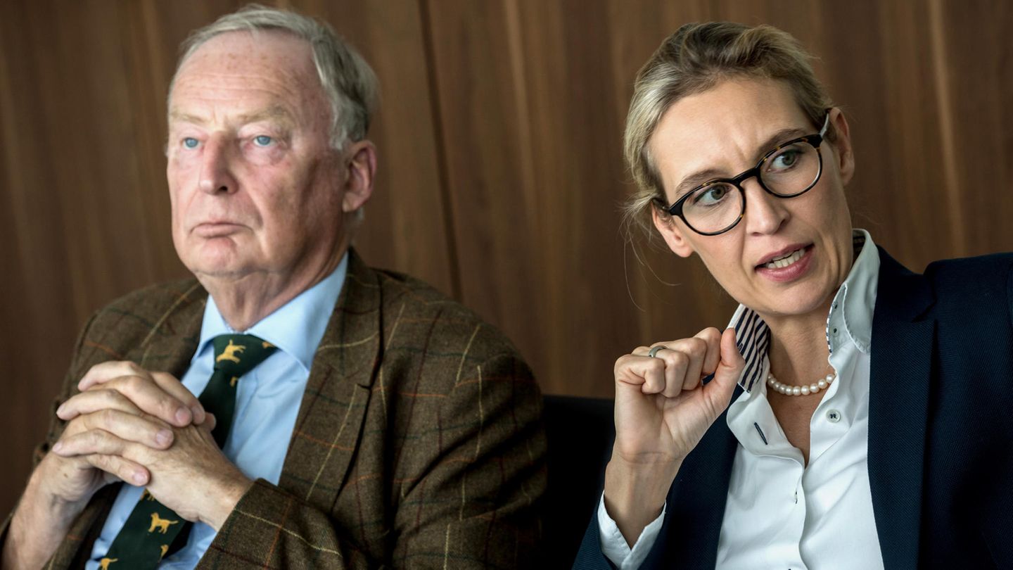 AfD Alexander Gauland Alice Weidel
