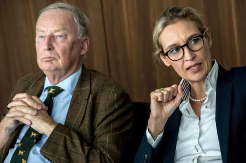 AfD Alexander Gauland Alice Weidel