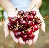 Auch Kirschen sollten Sie in Bio-Qualität kaufen.