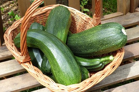 Giftige Zucchini