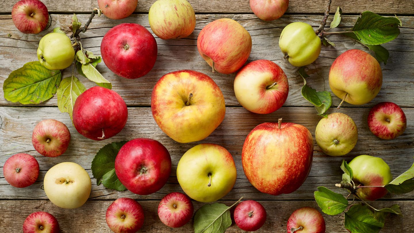 Äpfel enthalten rund 13 Gramm natürlichen Zucker, der ideale Energiebooster also.