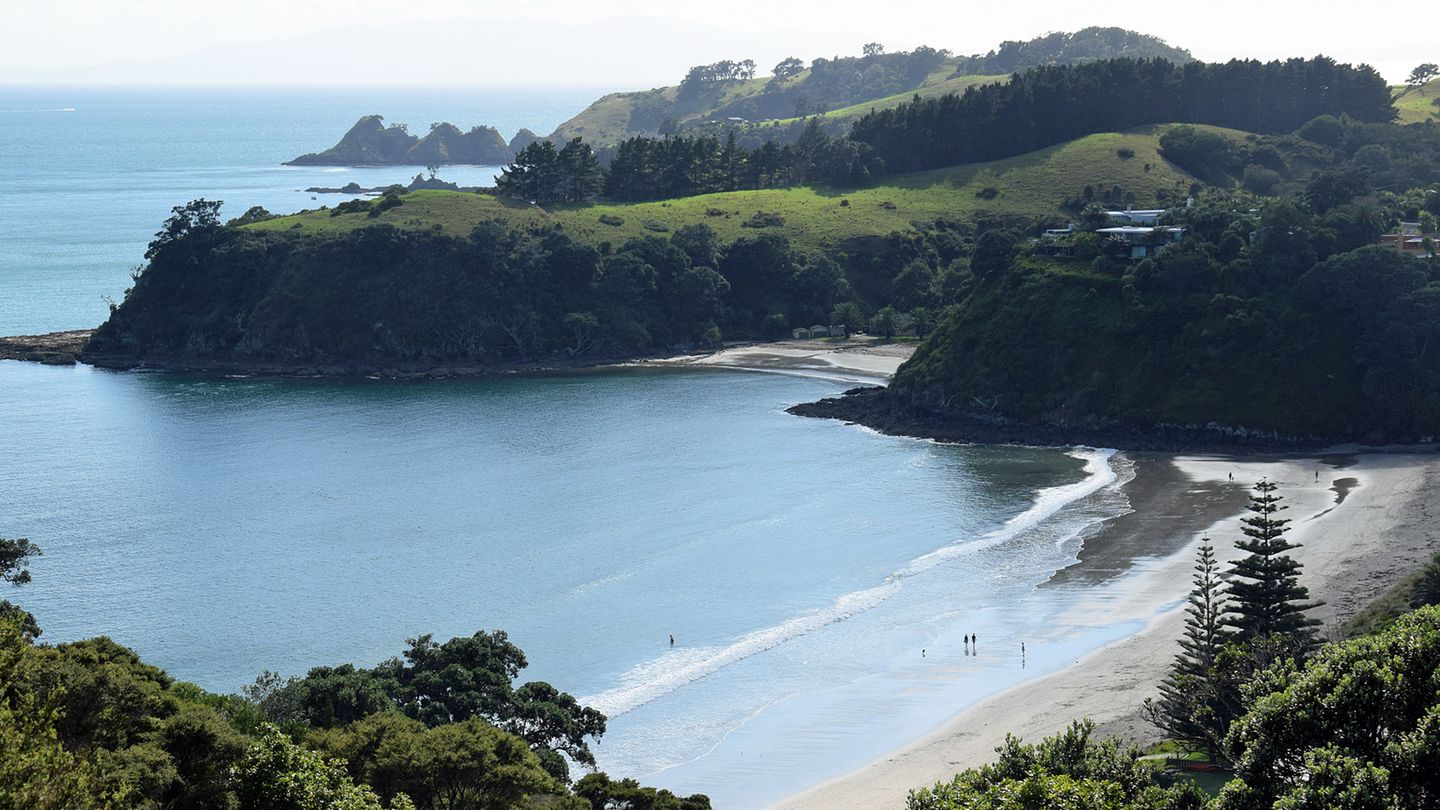 Waiheke Waiheke