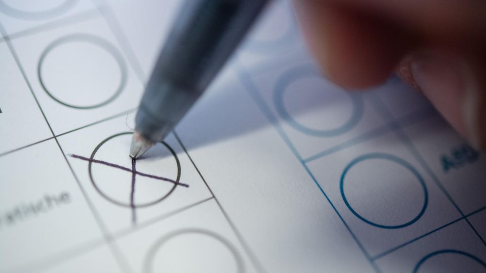 Bundestagswahl 2017 Bundestagswahl 2017: Zahlen, Fakten, Kurioses - so werden Sie zum Wahlprofi