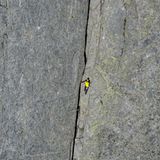 Piz Badile Nordostwand