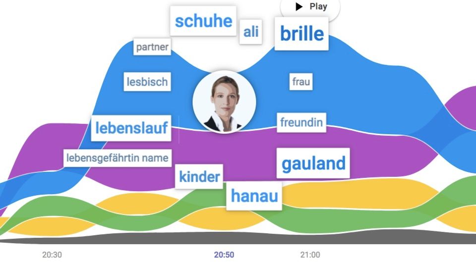 Google-Suchanfragen zu AfD-Kandidatin Weidel: Schuhe, Brille, lesbisch