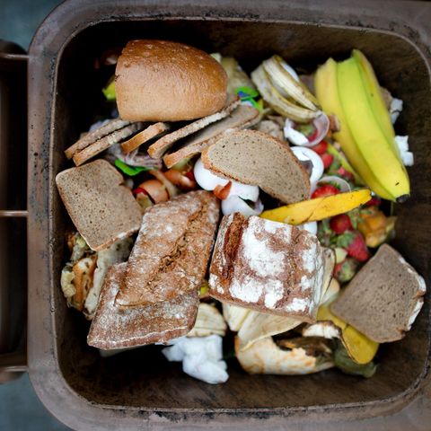 Lebensmittel im Mülleimer: Tonnen von Essen weggeworfen: So verschwenderisch sind die Deutschen