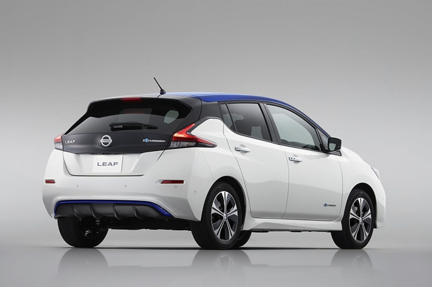Nissan Leaf II 2018 - fescher Aufritt