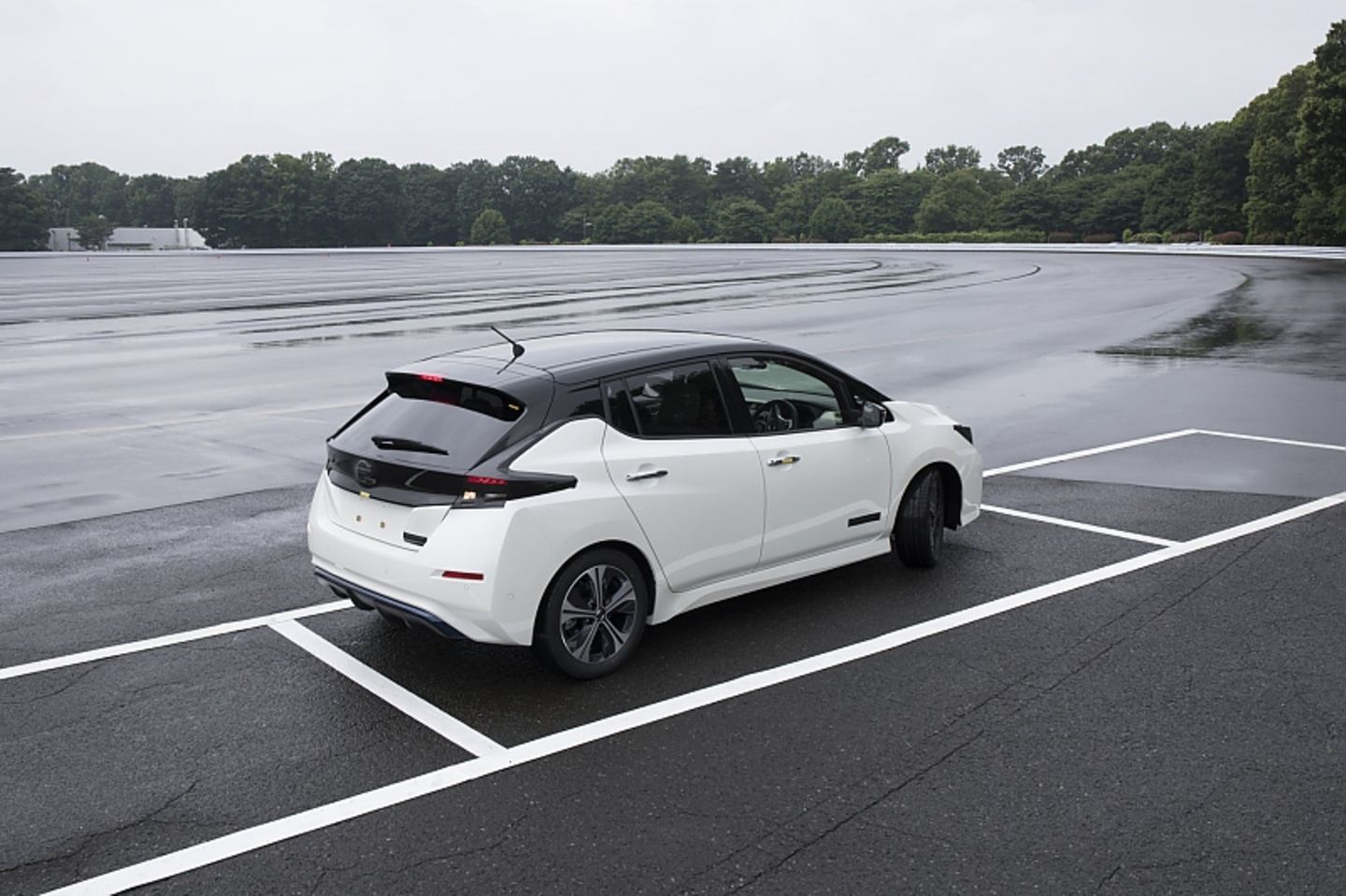 Nissan Leaf II 2018 - parkt von selbst ein - und aus