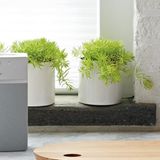 Bose SoundTouch 10 - Lieblingsmusik auf Knopfdruck  Bose mischt schon eine Weile im Multiroom-Markt mit, doch erst mit der letzten Soundtouch-Generation fühlt es sich auch gut an. Der kleinste Lautsprecher ist der SoundTouch 10 (hier im Bild), den es in Schwarz und Weiß gibt. Kostenpunkt: 179 Euro. Auf der Oberseite gibt es sechs Tasten, die man individuell belegen kann - vom Lieblings-Radiosender bis zu ganzen Alben. Dank Bluetooth-Anbindung kann man von beinahe jedem Gerät Musik rüberfunken.