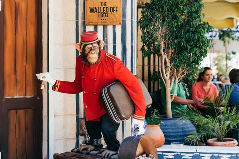 Hereinspaziert. Am Eingang des Banksy-Hotels grüßt eine Schimpansen-Skulptur - nicht die einzige Besonderheit des Hauses