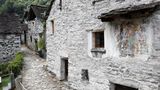 Corippo
