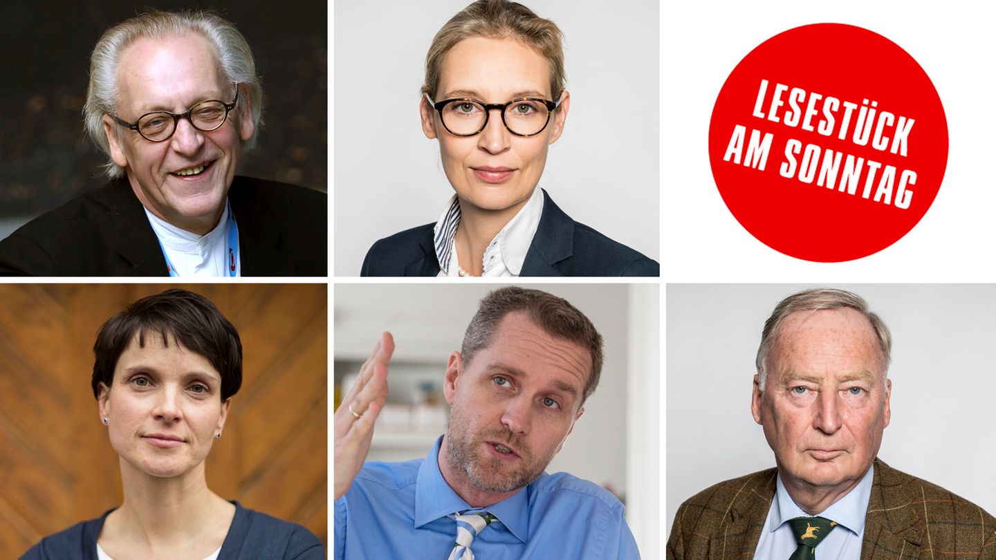 Bundestagswahl 2017: Die vielen Gesichter der AfD