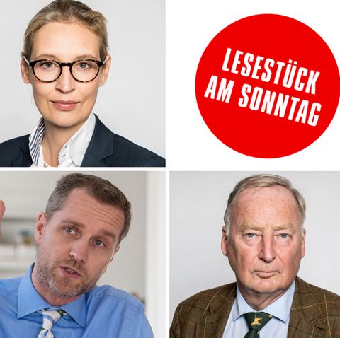 Bundestagswahl 2017: Die vielen Gesichter der AfD
