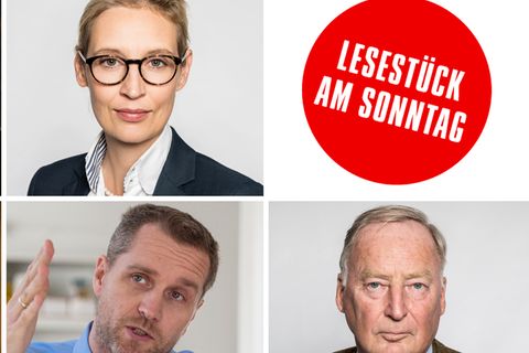 Bundestagswahl 2017: Die vielen Gesichter der AfD