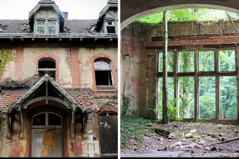 Leistungsschau Und Volksfest: Brandenburg-Tag 2027: Beelitz Soll ...