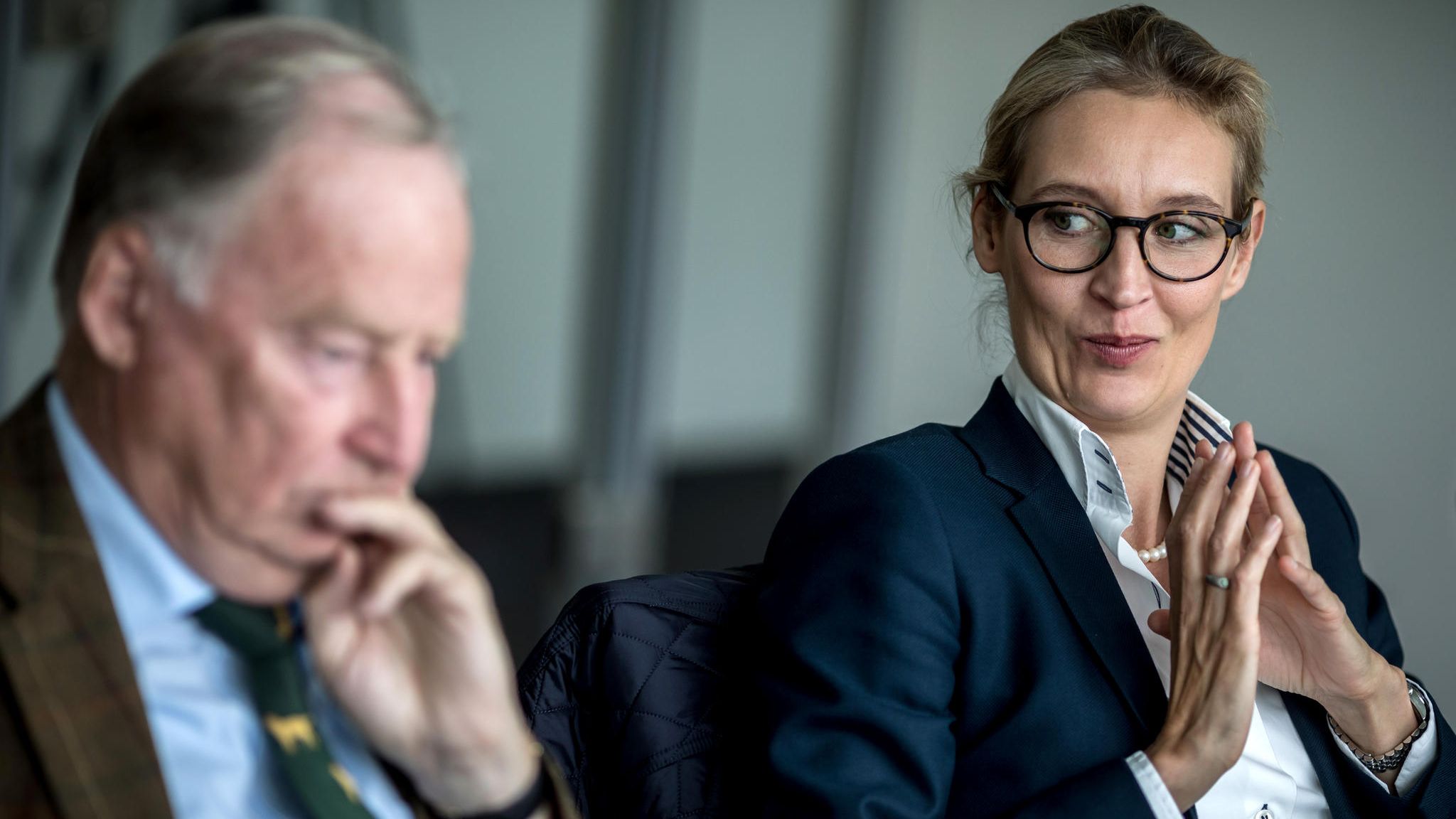 AfD: Die Regierung wehrt sich gegen die Rechtspopulisten im Bundestag