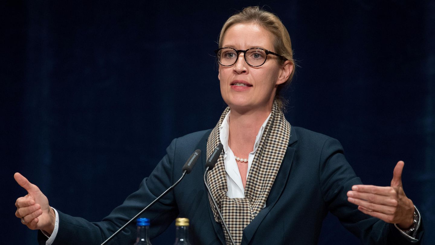 Alice Weidel von der AfD steht an einem Rednerpult mit zwei Mikros und gestikuliert mit beiden Händen