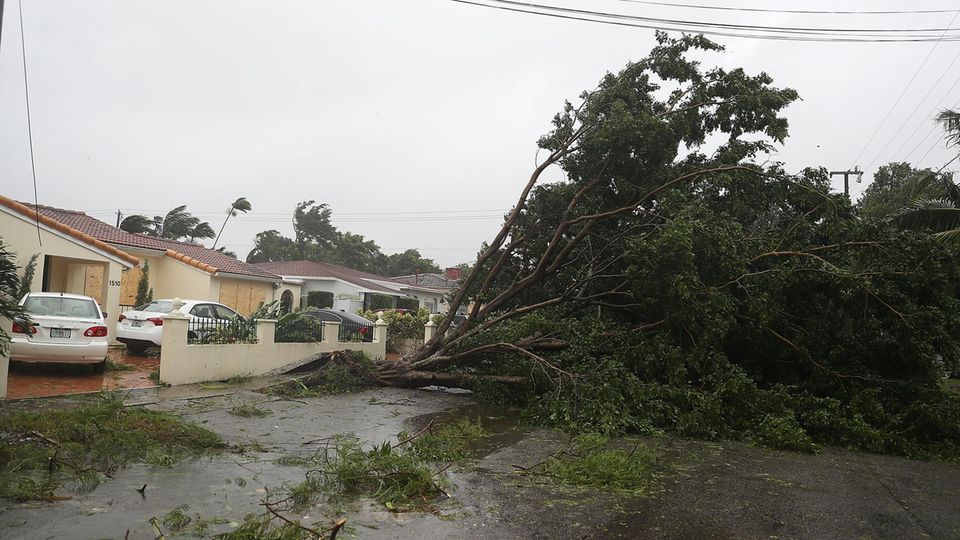 Hurrikan "Irma" verwüstete ganze Straßenzüge, wie hier in Miami. Bislang sind in Florida mindestens drei Menschen durch den Sturm gestorben Hurrikan "Irma" verwüstete ganze Straßenzüge, wie hier in Miami