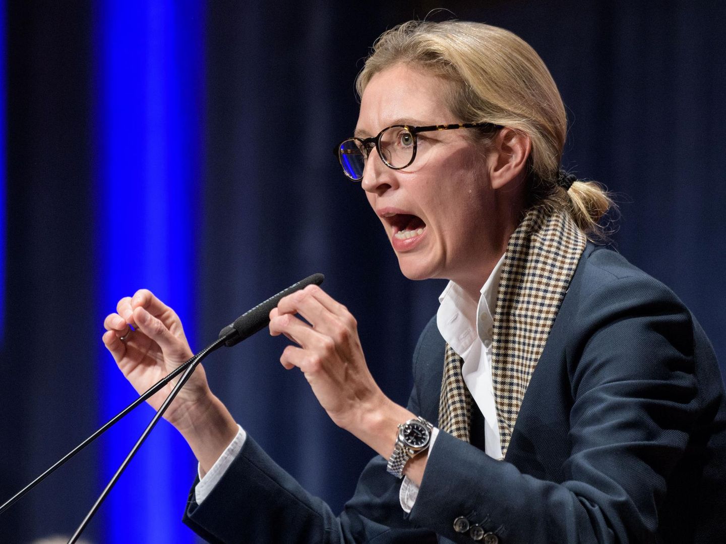 Alice Weidel: AfD-Spitzenpolitikerin will Debatte um angebliche Hetz-Mail  von ihr eindämmen | STERN.de