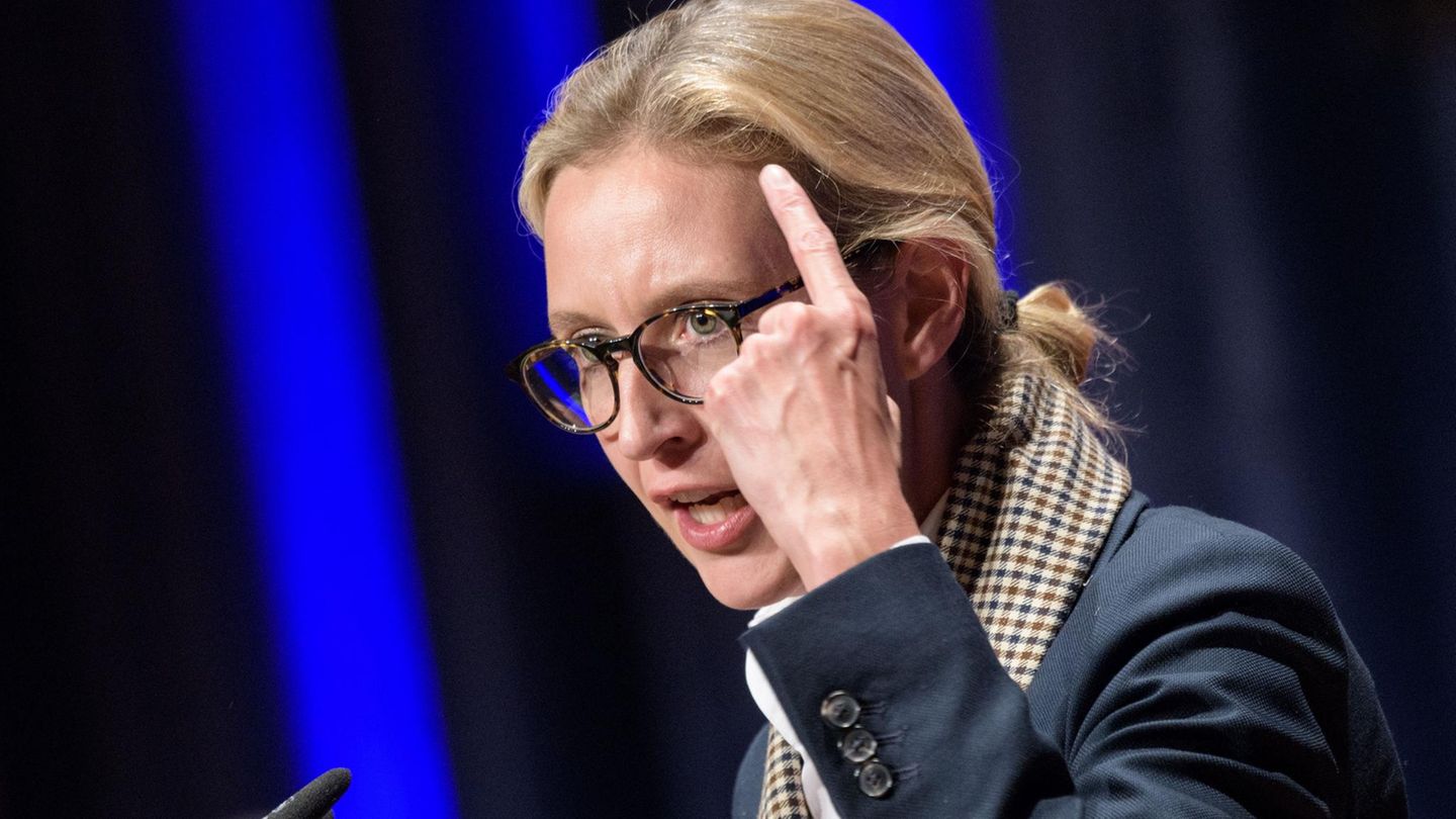 AfD-Politikerin Alice Weidel während einer Parteiveranstaltung in Pforzheim