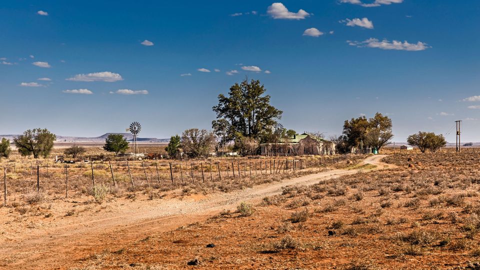 Farmhaus, Windrad, drum herum viel Nichts: ein Hof in der Provinz Eastern Cape