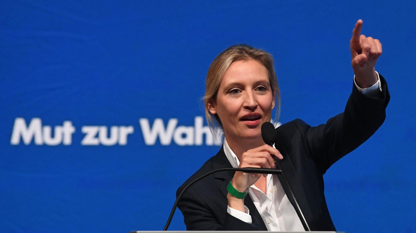 "Mut zur Wahrheit" - damit wirbt die AfD (Archivbild)