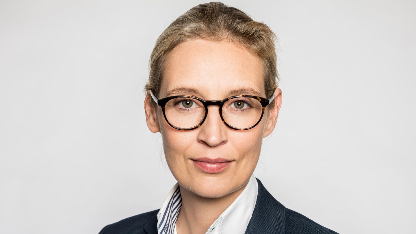 Alice Weidel, Spitzenkandidatin der AfD, im Portrait