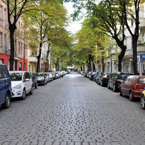 Man sieht das Problem: In jedem Haus wohnen mehr als 30 Personen, Platz ist aber nur für drei Autos.