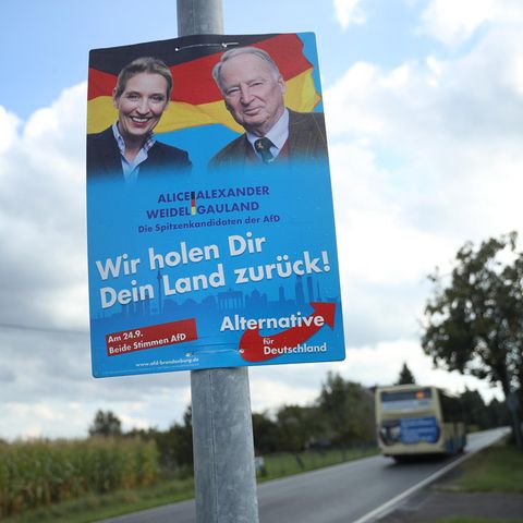 AfD Wahlkampfplakat