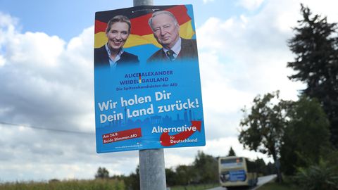 AfD Wahlkampfplakat