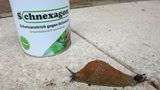 Schnexagon im Test