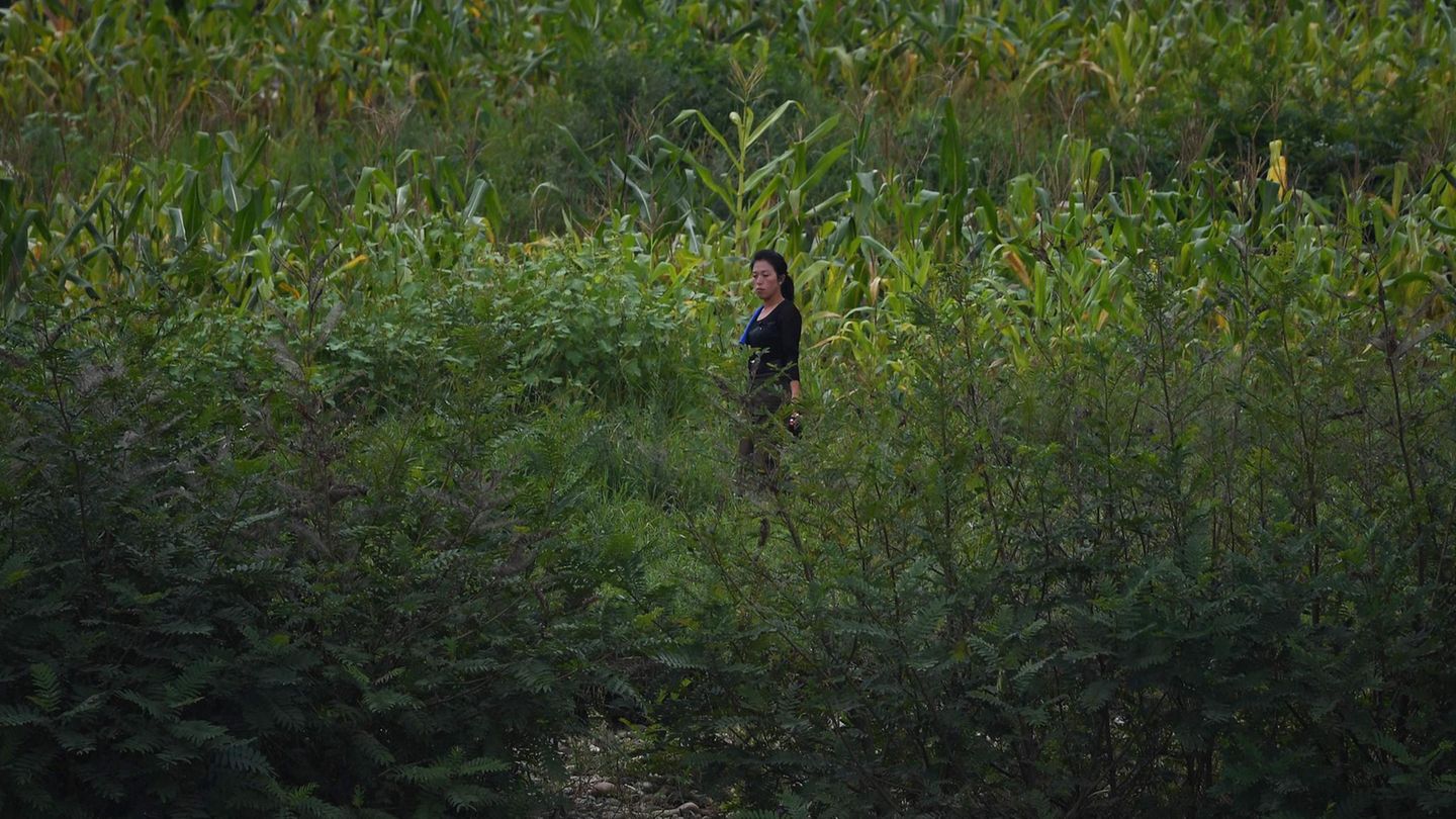Nordkorea Frau am Yalu-Ufer