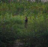 Nordkorea Frau am Yalu-Ufer