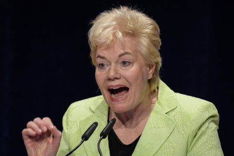 Erika Steinbach versucht Alexander Gauland per Tweet zu unterstützen