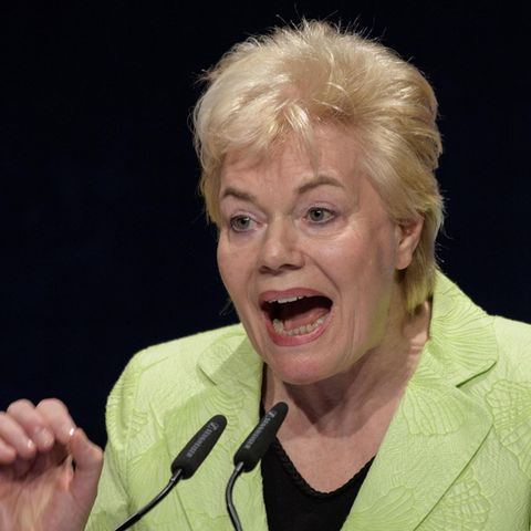 Erika Steinbach versucht Alexander Gauland per Tweet zu unterstützen