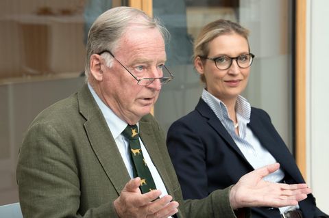 Wahlkampf-Rhetorik: Framing: Mit diesen Mitteln verbreitet die AfD ihre Botschaft